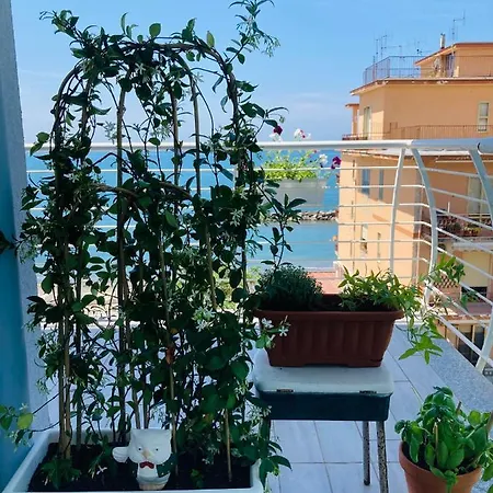 Appartamento Viva La Nonna