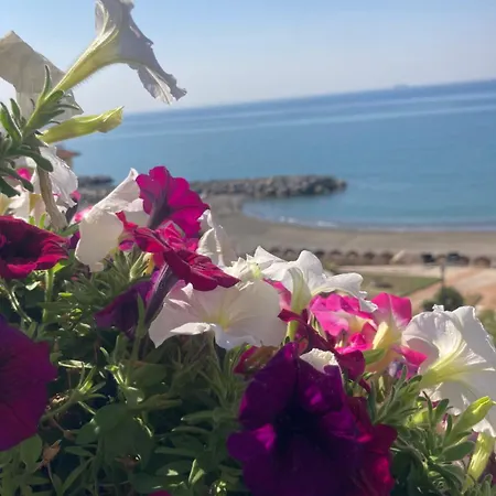 Appartamento Viva La Nonna